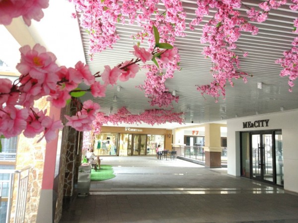 沂水頤高桃花展
