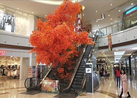 平邑室內(nèi)dp點
